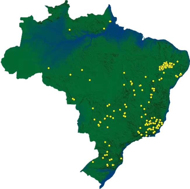 Mapa de atuacao enemax no Brasil